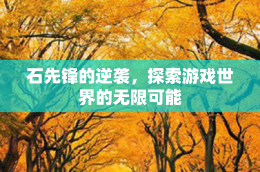 石先锋的逆袭,探索游戏世界的无限可能 石先锋的逆袭,探索游戏世界的无限可能