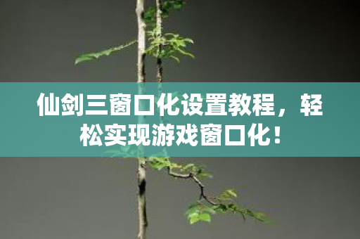 仙剑三窗口化设置教程,轻松实现游戏窗口化! 仙剑三窗口化设置教程,轻松实现游戏窗口化!