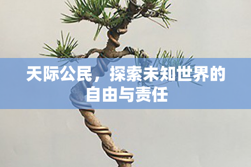 天际公民，探索未知世界的自由与责任