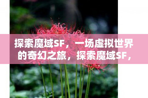 一场虚拟世界的奇幻之旅图片