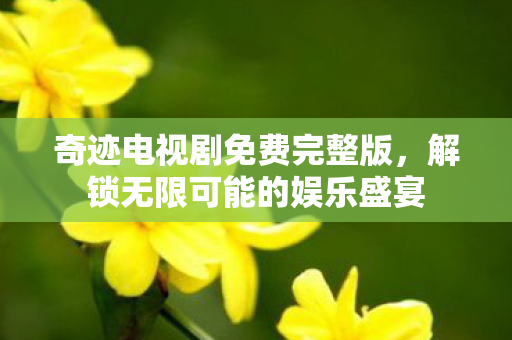 解锁无限可能的娱乐盛宴图片