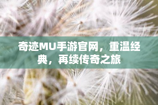 奇迹MU手游官网图片