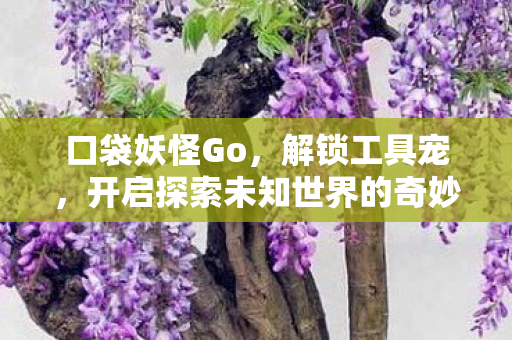 开启探索未知世界的奇妙旅程图片