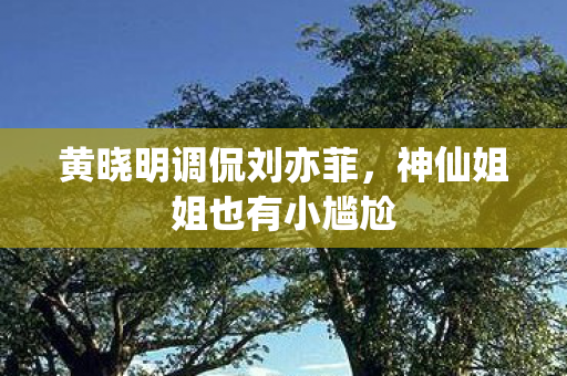神仙姐姐也有小尴尬图片