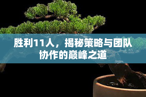 胜利11人，揭秘策略与团队协作的巅峰之道