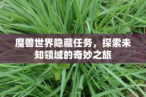 探索未知领域的奇妙之旅图片