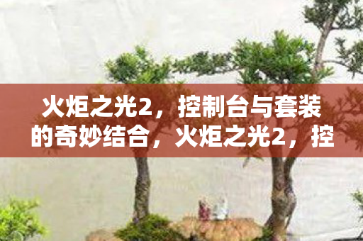 控制台与套装的奇妙结合图片