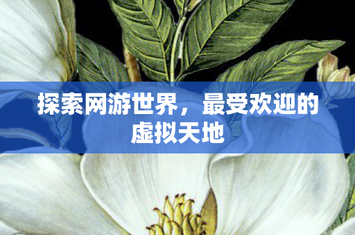 最受欢迎的虚拟天地图片