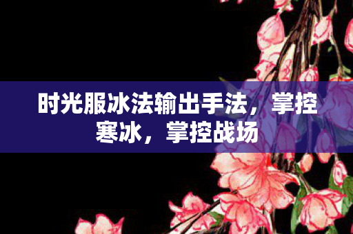 时光服冰法输出手法图片
