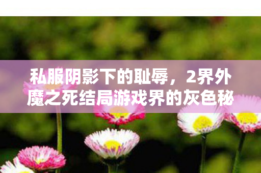 私服阴影下的耻辱，2界外魔之死结局游戏界的灰色秘密