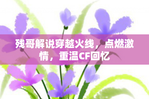 残哥解说穿越火线图片
