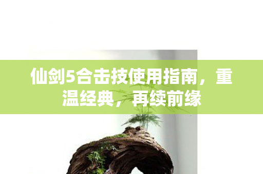 仙剑5合击技使用指南图片