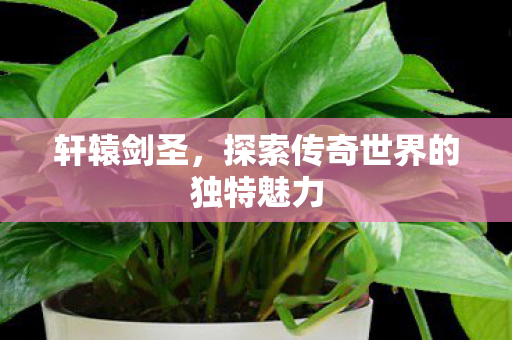 探索传奇世界的独特魅力图片