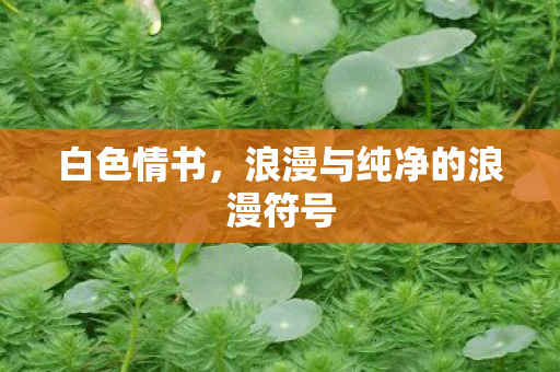 浪漫与纯净的浪漫符号图片