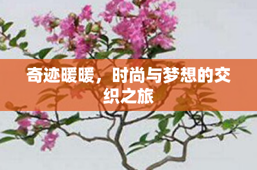 时尚与梦想的交织之旅图片