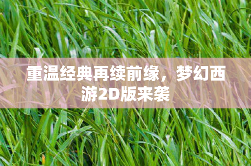 梦幻西游2D版来袭图片
