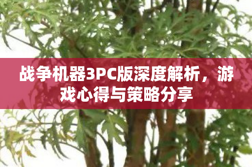 战争机器3PC版深度解析图片