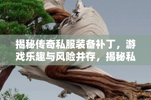 揭秘传奇私服装备补丁图片