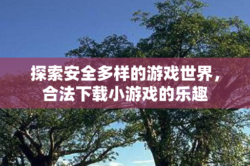 探索安全多样的游戏世界，合法下载小游戏的乐趣