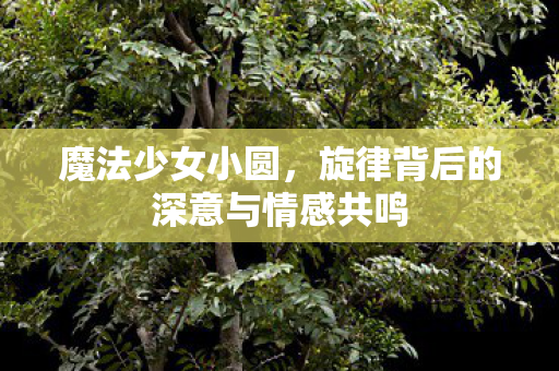 魔法少女小圆，旋律背后的深意与情感共鸣