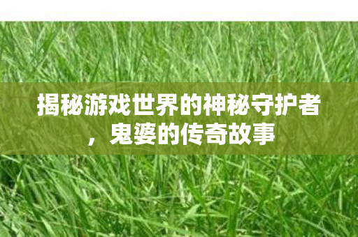 揭秘游戏世界的神秘守护者，鬼婆的传奇故事