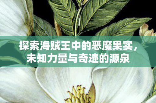 探索海贼王中的恶魔果实,未知力量与奇迹的源泉 探索海贼王中的恶魔果实,未知力量与奇迹的源泉