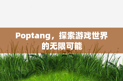 探索游戏世界的无限可能图片