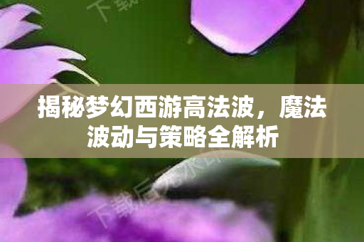 魔法波动与策略全解析图片