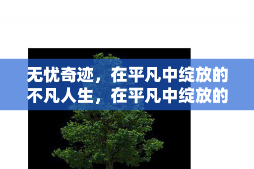 无忧奇迹,在平凡中绽放的不凡人生,在平凡中绽放的不凡人生,无忧奇迹 无忧奇迹,在平凡中绽放的不凡人生,在平凡中绽放的不凡人生,无忧奇迹