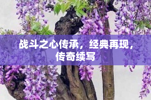 战斗之心传承，经典再现，传奇续写