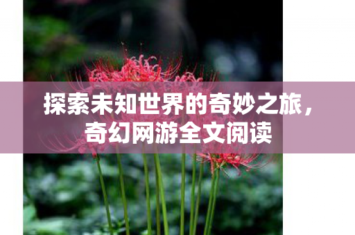 探索未知世界的奇妙之旅,奇幻网游全文阅读 探索未知世界的奇妙之旅,奇幻网游全文阅读