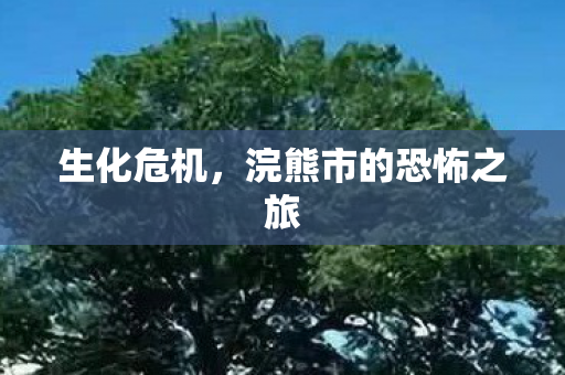 生化危机，浣熊市的恐怖之旅