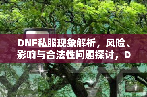 影响与合法性问题全解析图片