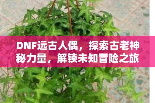 探索古老神秘力量图片