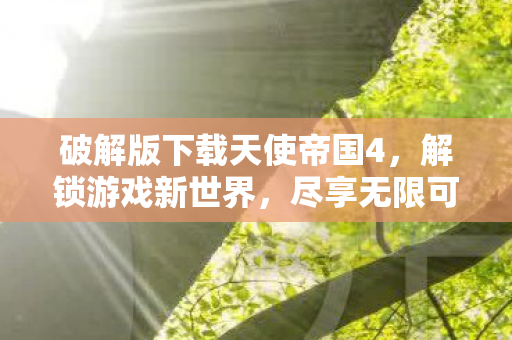 破解版下载天使帝国4图片