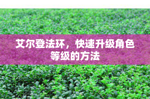 艾尔登法环,快速升级角色等级的方法 艾尔登法环,快速升级角色等级的方法