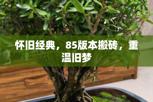 85版本搬砖图片