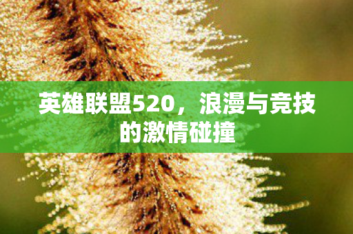 浪漫与竞技的激情碰撞图片