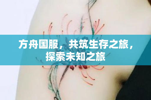 方舟国服，共筑生存之旅，探索未知之旅