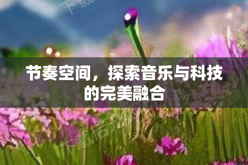 节奏空间,探索音乐与科技的完美融合 节奏空间,探索音乐与科技的完美融合