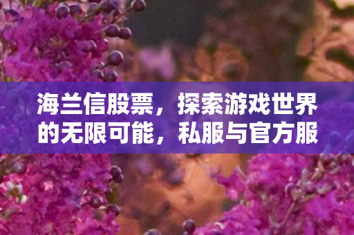 海兰信股票,探索游戏世界的无限可能,私服与官方服务器的独特魅力 海兰信股票,探索游戏世界的无限可能,私服与官方服务器的独特魅力