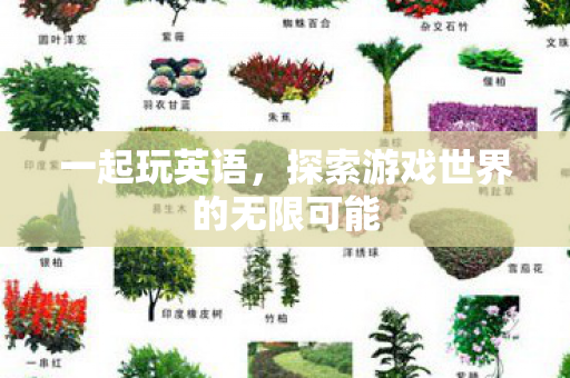 一起玩英语,探索游戏世界的无限可能 一起玩英语,探索游戏世界的无限可能