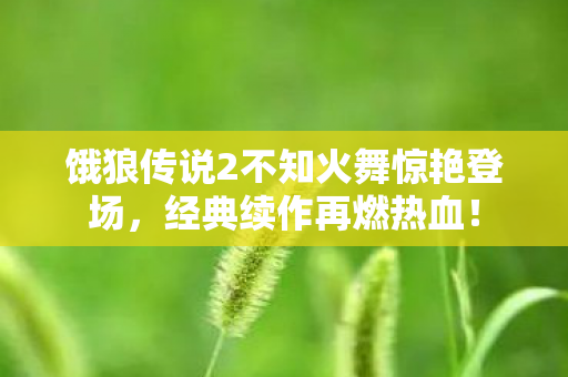 饿狼传说2不知火舞惊艳登场,经典续作再燃热血! 饿狼传说2不知火舞惊艳登场,经典续作再燃热血!