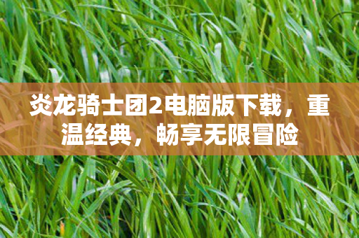 炎龙骑士团2电脑版下载,重温经典,畅享无限冒险 炎龙骑士团2电脑版下载,重温经典,畅享无限冒险