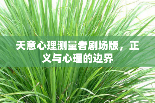 天意心理测量者剧场版,正义与心理的边界 天意心理测量者剧场版,正义与心理的边界