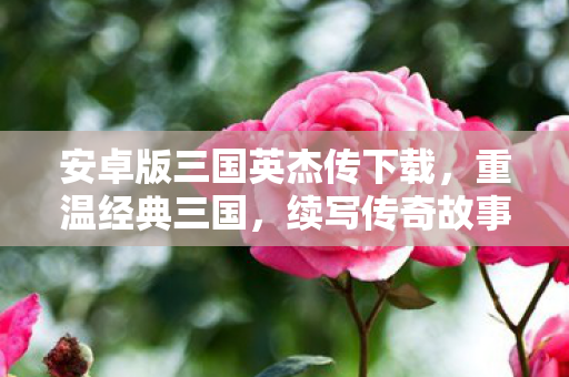 安卓版三国英杰传下载,重温经典三国,续写传奇故事! 安卓版三国英杰传下载,重温经典三国,续写传奇故事!