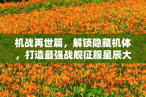 打造最强战舰征服星辰大海图片