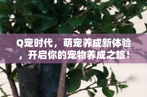 开启你的宠物养成之旅图片