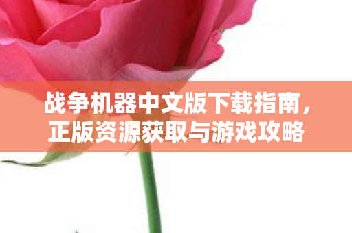 战争机器中文版下载指南图片