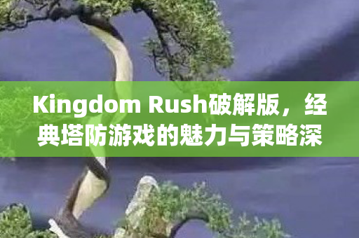 Kingdom Rush破解版,经典塔防游戏的魅力与策略深度解析 Kingdom Rush破解版,经典塔防游戏的魅力与策略深度解析